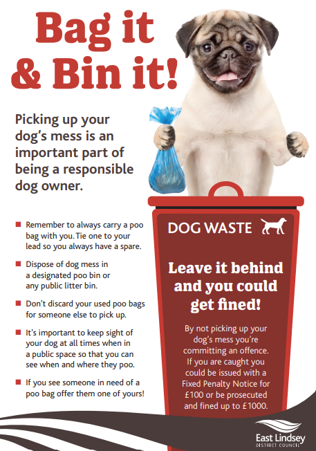 Dog mess penalty fines